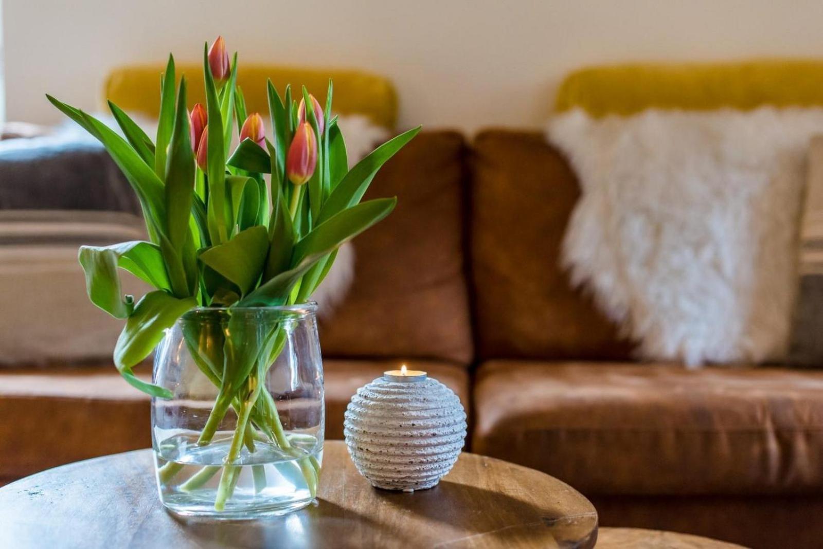 Dit Eiland Hollum  Ngoại thất bức ảnh